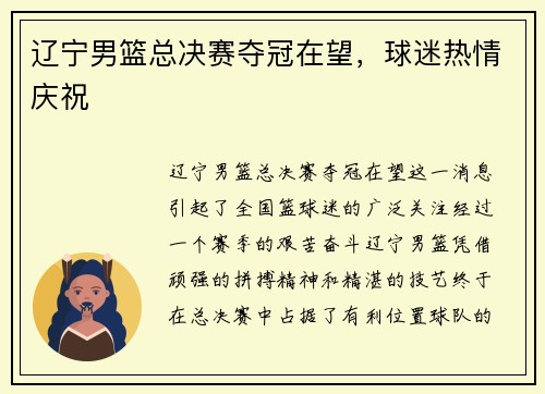 辽宁男篮总决赛夺冠在望，球迷热情庆祝